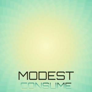 Modest Consume