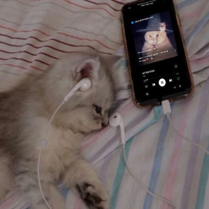 Im Schatten Der Zeit