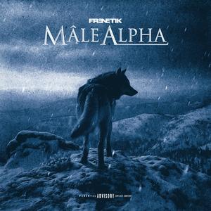 Mâle Alpha
