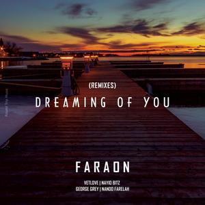 Dreaming of You (Remixes)