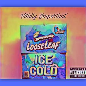 Loose Leaf (feat. Prod. By JpBeatz) (Explicit)