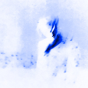 I'M GRATEFUL (Explicit)