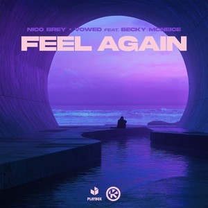 Feel Again (Extended Mix)