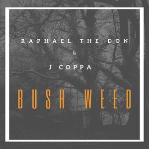 Bush Weed (feat. Raphael the Don) (Explicit)