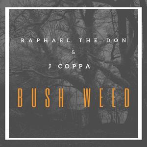 Bush **(feat. Raphael the Don) (Explicit)