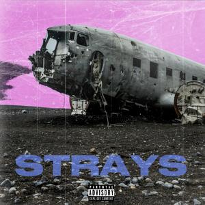 Strays (Explicit)