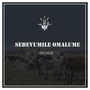Sebevumile Omalume (feat. Celza)