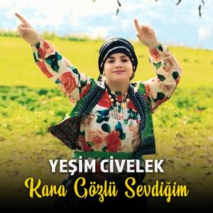 Yeşim Civelek - Kara Gözlü Sevdiğim (feat. Yeşim Civelek)