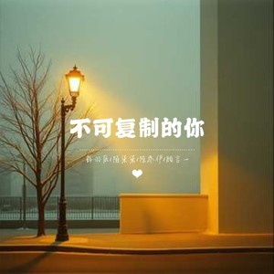 不可复制的你