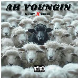 Ah Youngin' (feat. Big Sheesh) [Explicit]