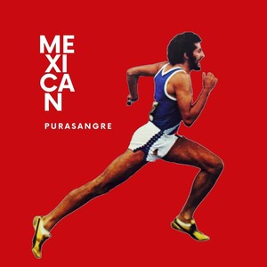 Mexican Purasangre