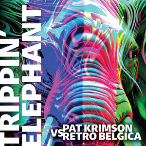 Trippin' Elephant (Radio Edit)