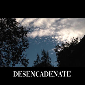 DESENCADENATE (feat. Seydebeats) [Explicit]