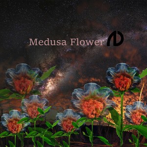 Medusa Flower