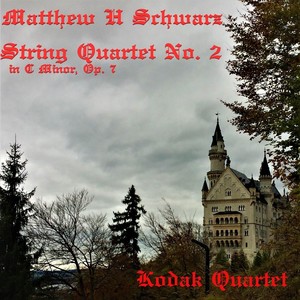 Schwarz: String Quartet 2 in C Minor, Op. 7