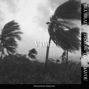 Vibes(feat. Red$now & TODD) (Explicit)