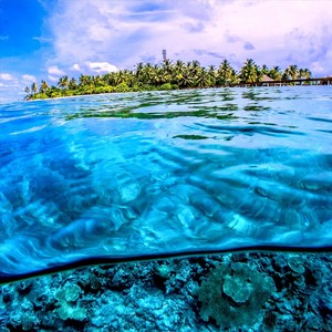 Sitting Under the Sea(Slight Return)