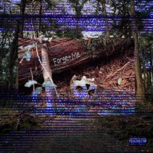 Dipolar - ForgetMe (feat. oliver2cups) (Explicit)