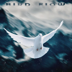 Bird Flow (Explicit)