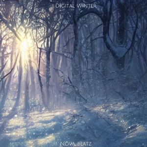 Digital Winter