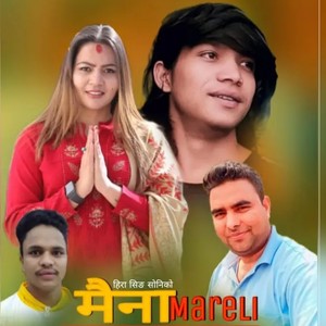 मैना मरेली