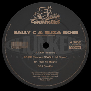 DR Pleasure (BASHKKA Remix)