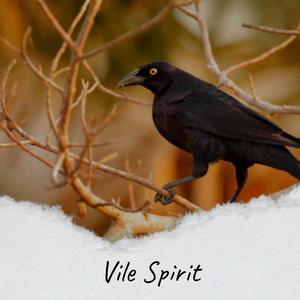 Vile Spirit