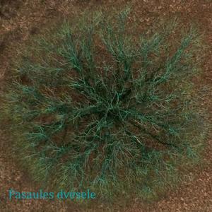 Pasaules Dvēsele (feat. Laima Dimanta, Valdis Atāls & Edgars Rakovskis)