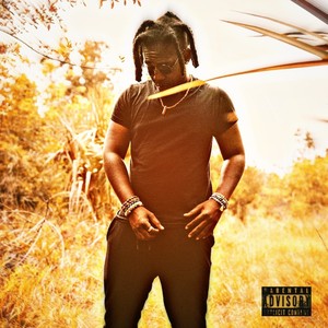 Relationships (Explicit)