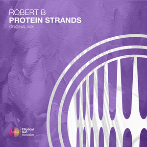 Protein Strands