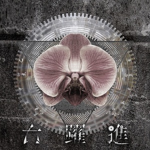 宝岛坟蚀者