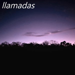 LLAMADAS