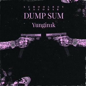 Dump Sum (feat. Yungin1k) (Explicit)