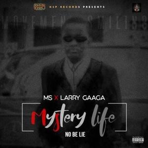 Mystery Life (feat. Larry Gaaga)