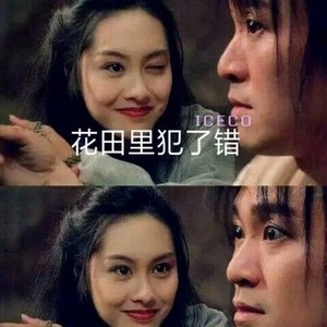 LegoG-花田里犯了错 (REMIX|ICECO remix)