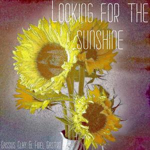 Looking for the sunshine voc