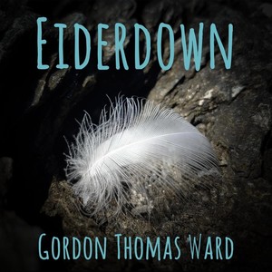 Eiderdown