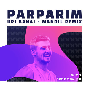 פרפרים (Mandil Remix)