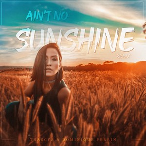 Ain't No Sunshine (Remix)