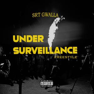 Under Surveillance Freestyle (Explicit)