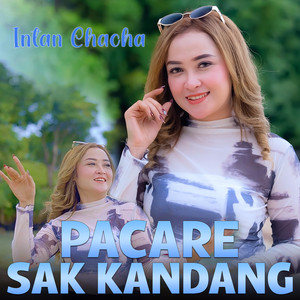 PACARE SAK KANDANG