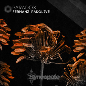Paradox (Original Mix)