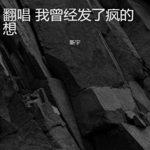 我曾经发了疯的想