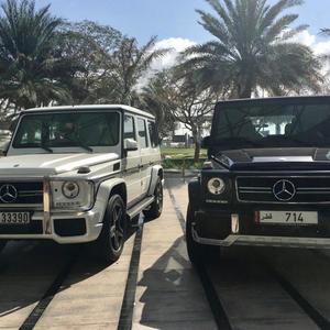 Cabbage Patch (Explicit)