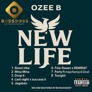 Party (feat. majorbenzy & Ghcali)