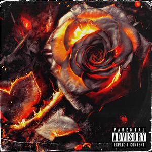 Love Is ... (Explicit)