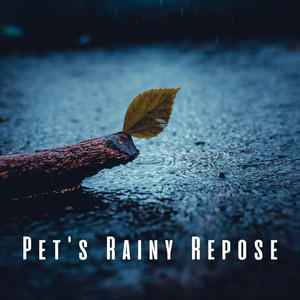 Pet's Rainy Repose: Soothing Pink Noise for Pet Calmness