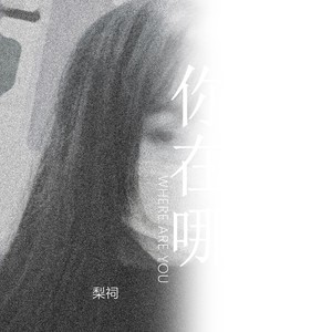 你在哪 (伴奏)
