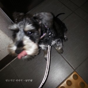 냉소적인 애새끼 (玩世不恭的小子)