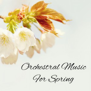 Concerto for 2 Pianos and Orchestra in E major